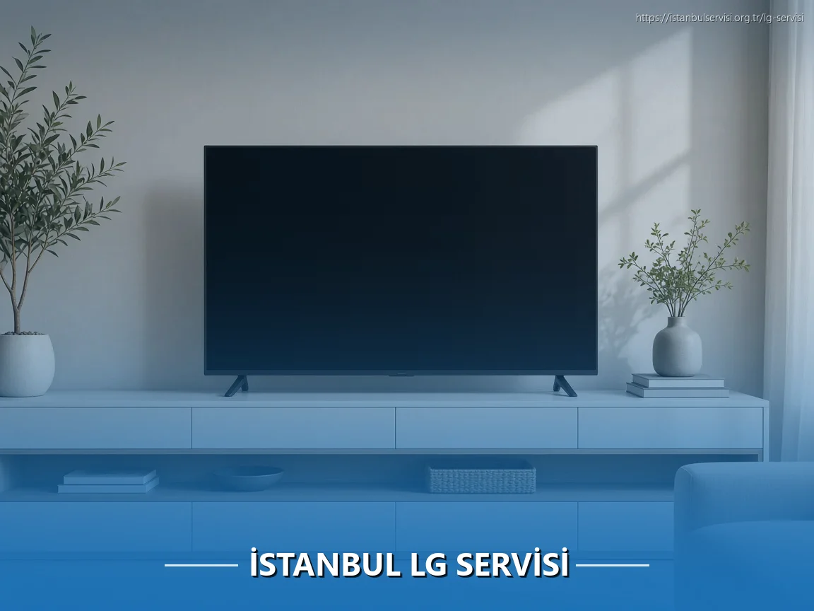İstanbul LG Servisi