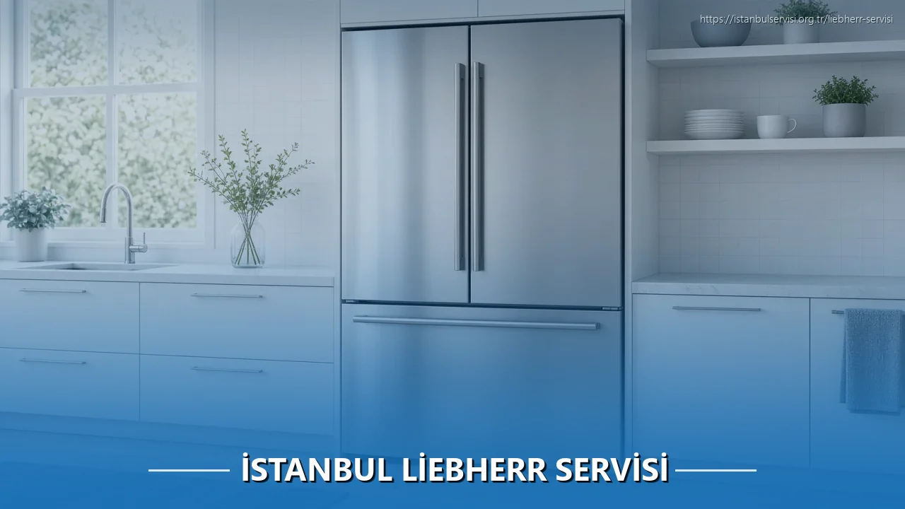 İstanbul Liebherr Servisi